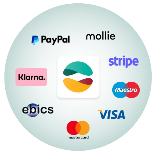 Odoo payment provier connections Payment Provider